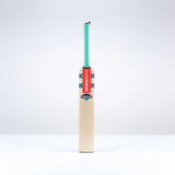 Gray Nicolls Ventus 1.0 200 Cricket Bat-S/H