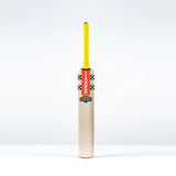 Gray Nicolls Havoc HB317 Warrior Cricket Bat Junior