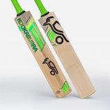 Kookaburra Kahuna 6.3 Select Cricket Bat-Junior