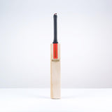Gray Nicolls Scoop 50 Classic Edition Cricket Bat-S/H