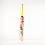 Gray Nicolls Tempesta 1.0 Warrior Junior Cricket Bat