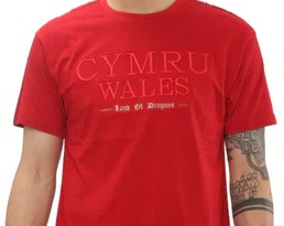 Land of Dragons Wales T Shirt