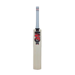 Gunn & Moore Radon DXM Cricket Bat S/H
