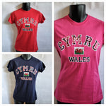 Ladies Wales Applique T Shirt