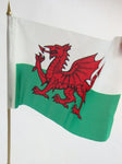 6 x 9 Welsh Flag