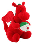 Welsh Dragon with Rugby Ball