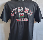 Wales Applique T Shirt