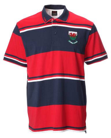 Jersey Stripe Polo Shirt