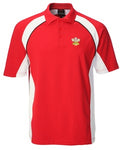 Mens Panel Polo