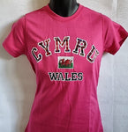 Ladies Wales Applique T Shirt