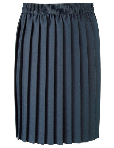 Pleated Navy