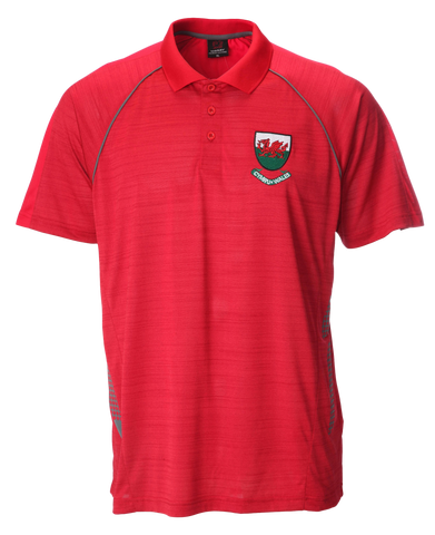 Ceri Fleck Polo