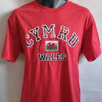 Wales Applique T Shirt