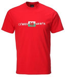 Flag Cymru Am Byth Wales T Shirt